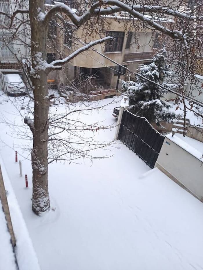 بارش برف شدید در نیاوران تهران