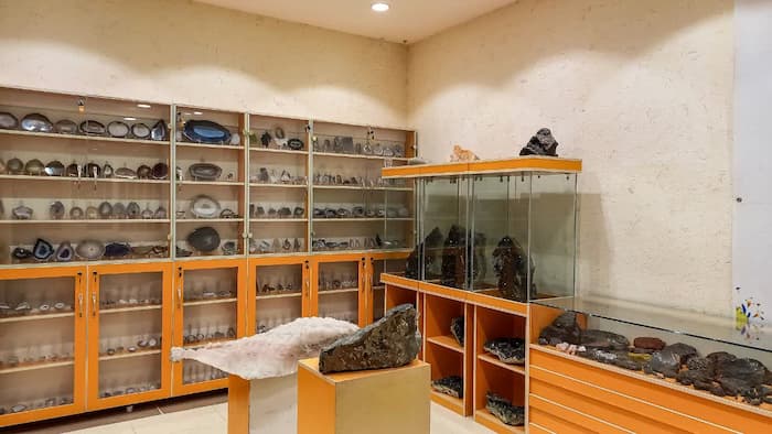 موزه تخصصی علوم زمین قم به روایت فاطمه خانعلی