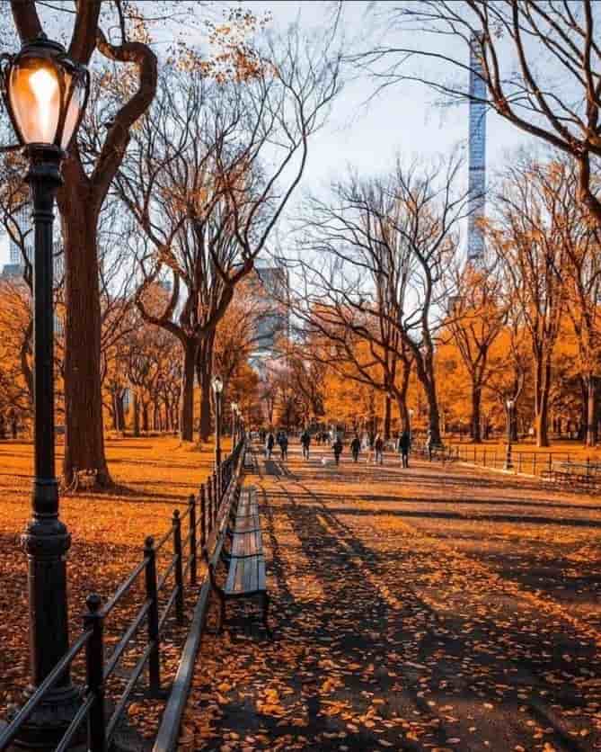 نقاشی پاییز در پارک مرکزی نیویورک