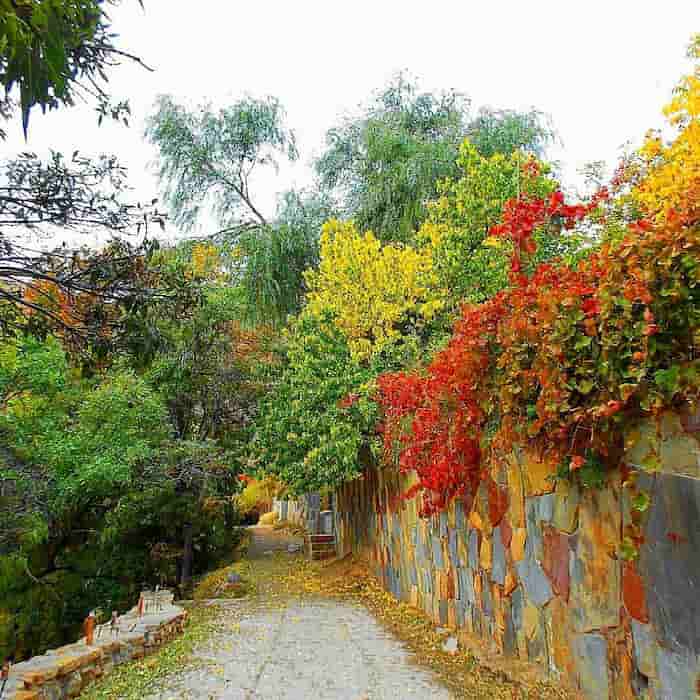طبیعت پاییزی قلات، شیراز