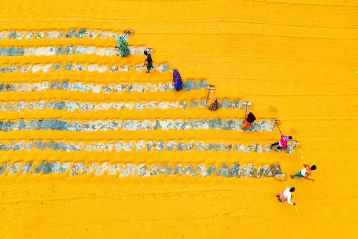 هنر فرآوری برنج در بنگلادش