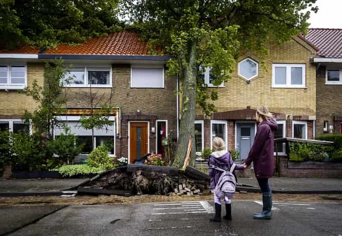 طوفان در هارلم، هلند