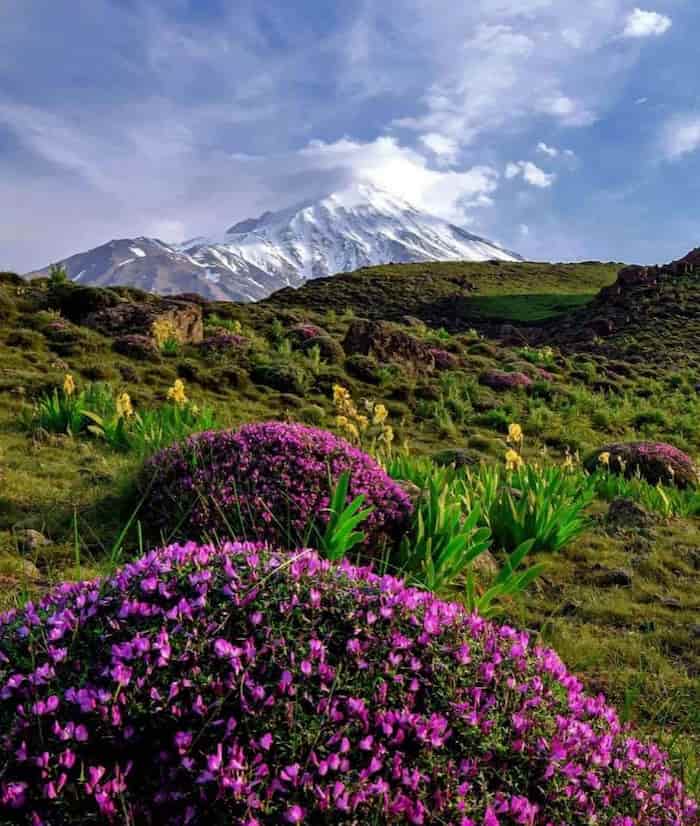 بهار دماوند - استان مازندران