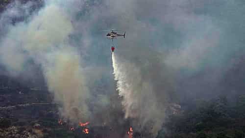 آتش سوزی جنگل های ایتالیا یک فاجعه زیست محیطی اعلام شد