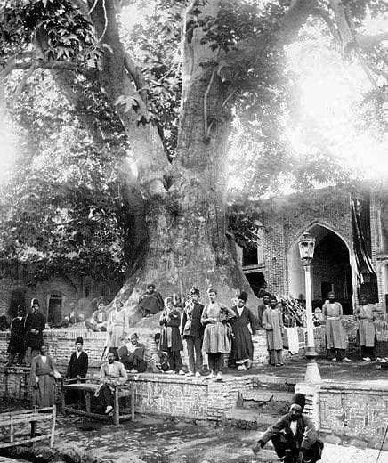 درخت امام زاده صالح در دوران قاجار