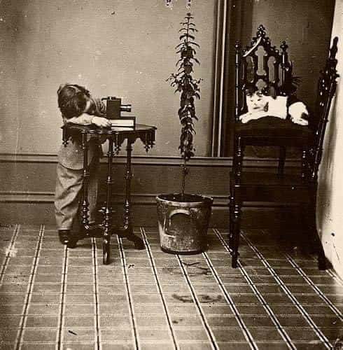 کودکی در حال عکس گرفتن از گربه حدود دهه ۱۹۳۰ میلادی