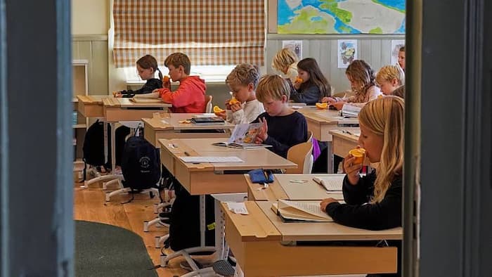 معلمان سوئدی با کاهش استفاده از تبلت، مشق و روخوانی کتاب را رواج می‌دهند