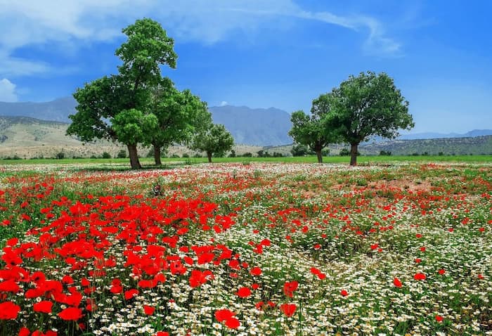 طبیعت زیبای استان لرستان به روایت فرهاد کولیوند