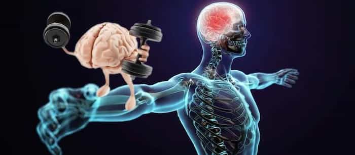 حافظه عضلانی چیست و چه نقشی در حفظ تناسب اندام دارد؟