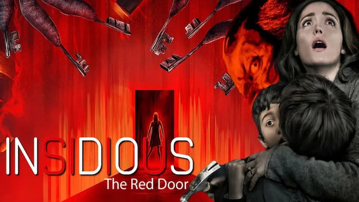 اطلاعاتی درباره فیلم توطئه‌آمیز: در قرمز Insidious: The Red Door 2023