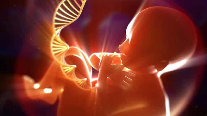 دانشمندان برای اولین بار «اندام‌های کوچک» را با استفاده از سلول‌های بنیادی بارداری‌های فعال ساختند