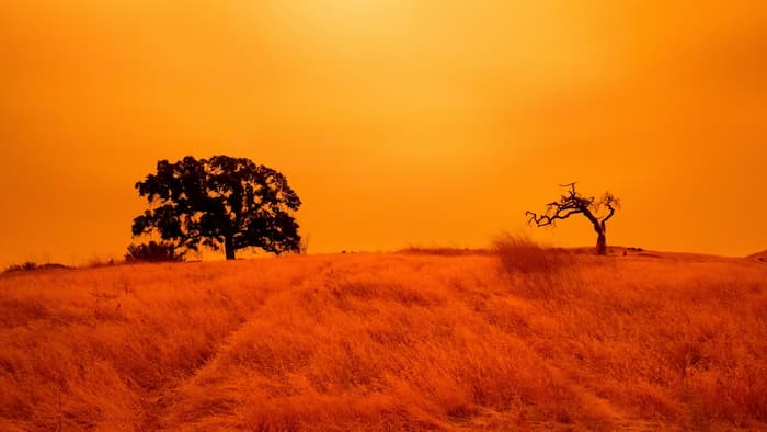 گرمای طاقت‌فرسا در انتظار تابستان: دانشگاه کالیفرنیا پیش‌بینی می‌کند
