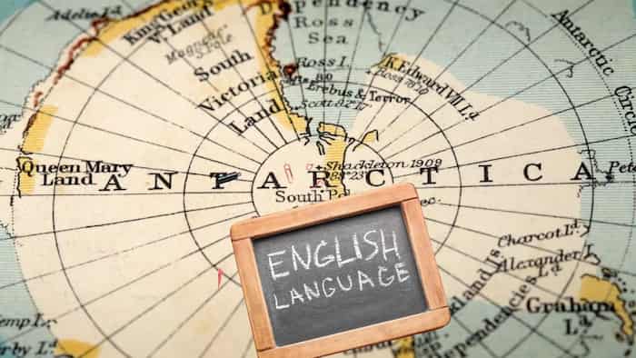 زبان انگلیسی با لهجه جنوبگان: چگونه انزوا، لهجه جدیدی را خلق می‌کند