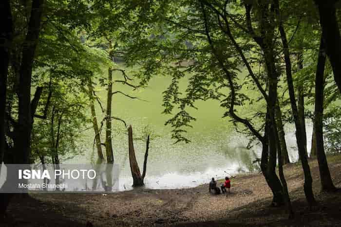 دریاچه میانشه ساری: نگینی در دل جنگل‌های مازندران